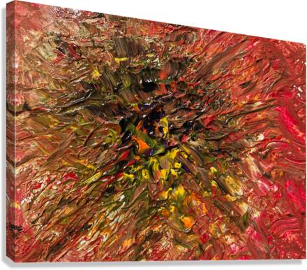 V511 Canvas Print