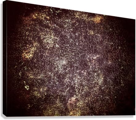 V516 Canvas Print