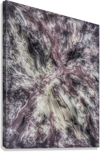 V520 Canvas Print