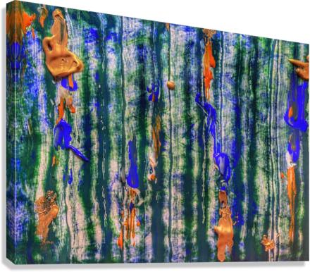 V521 Canvas Print