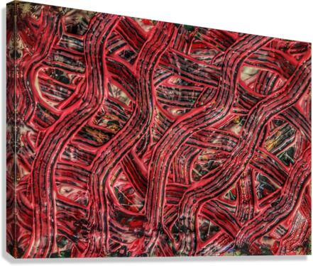 V522 Canvas Print