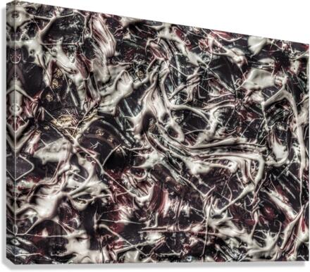 V523 Canvas Print