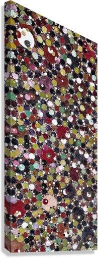 V526 Canvas Print