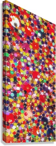 V527 Canvas Print