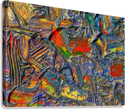 V529 Canvas Print