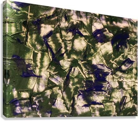V533 Canvas Print
