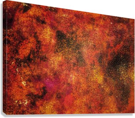 V534 Canvas Print