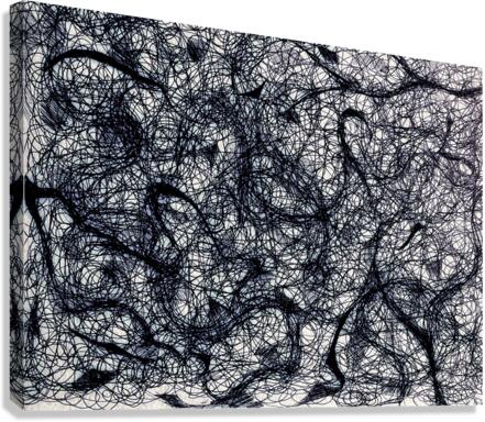 V535 Canvas Print