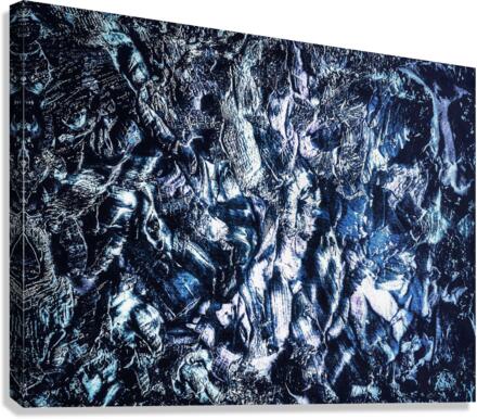 V538 Canvas Print