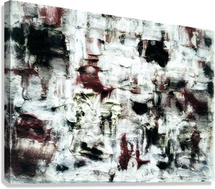 V540 Canvas Print