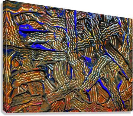 V541 Canvas Print