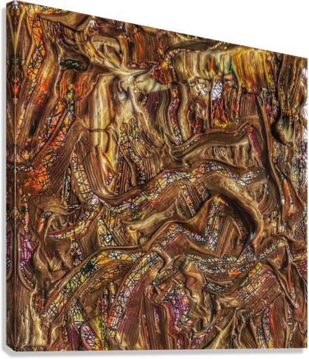V542 Canvas Print