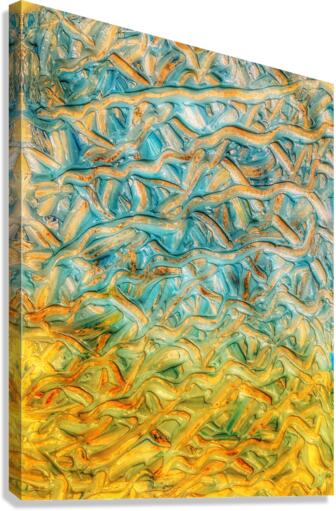 V548 Canvas Print