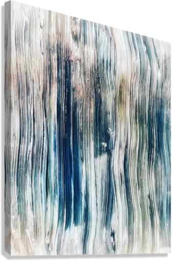 V551 Canvas Print
