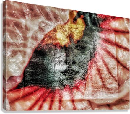V554 Canvas Print