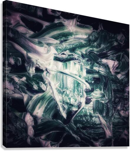 V555 Canvas Print