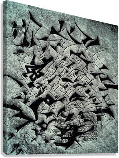 V558 Canvas Print