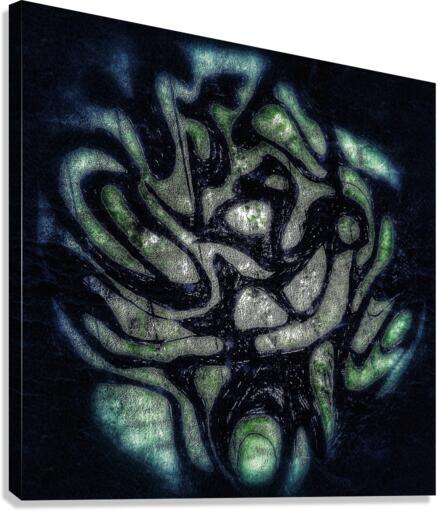 V559 Canvas Print