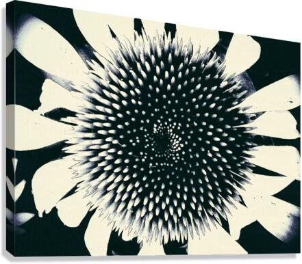 V562 Canvas Print