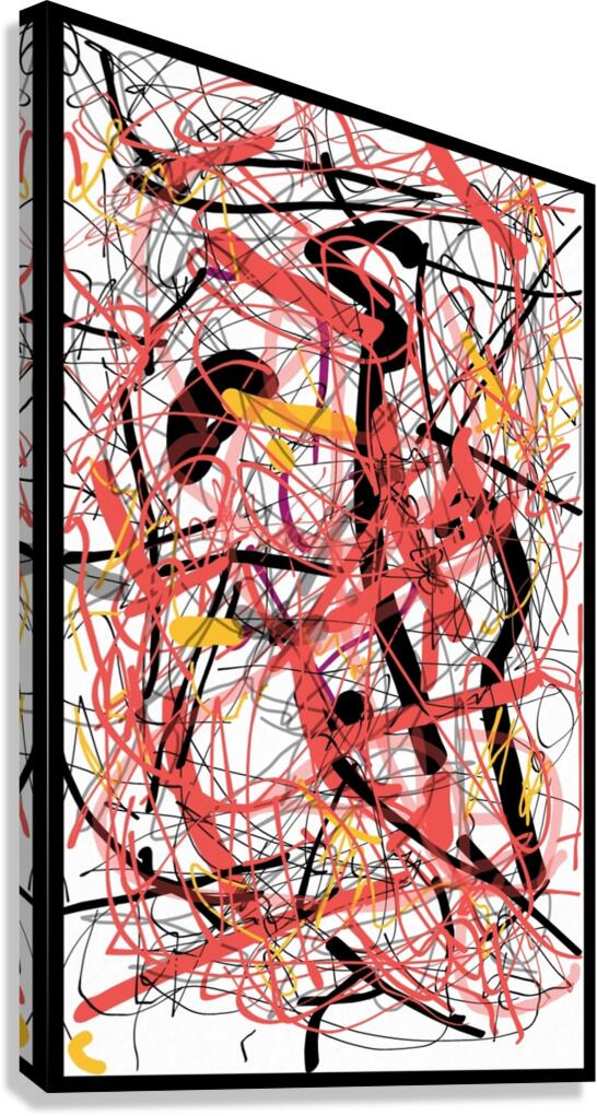 V564 Canvas Print