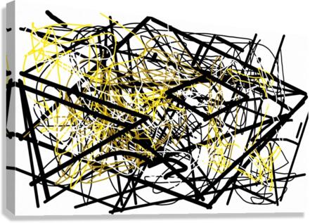 V571 Canvas Print