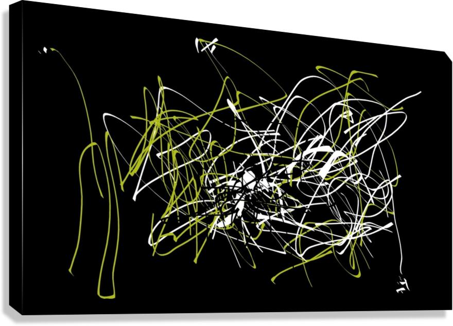V572 Canvas Print