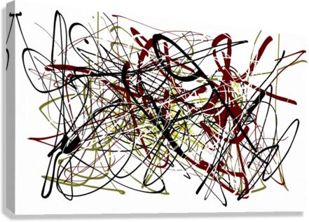 V579 Canvas Print