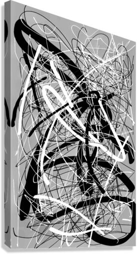 V582 Canvas Print