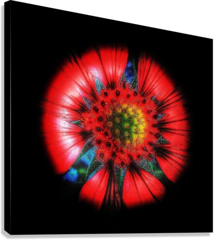 V603 Canvas Print