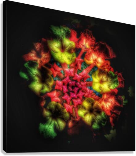 V604 Canvas Print