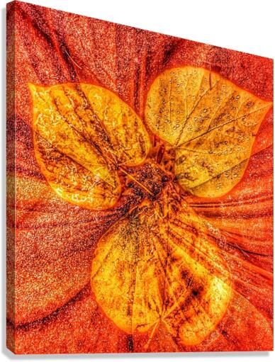 V606 Canvas Print
