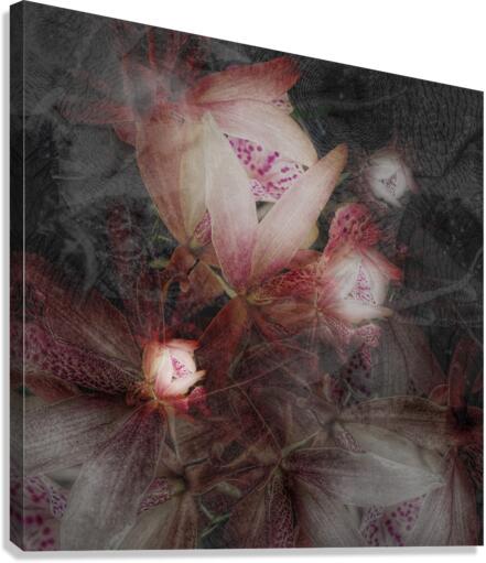 V610 Canvas Print