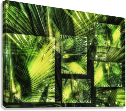 V611 Canvas Print