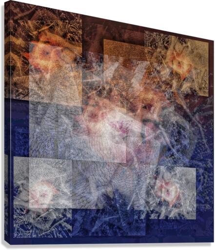 V612 Canvas Print