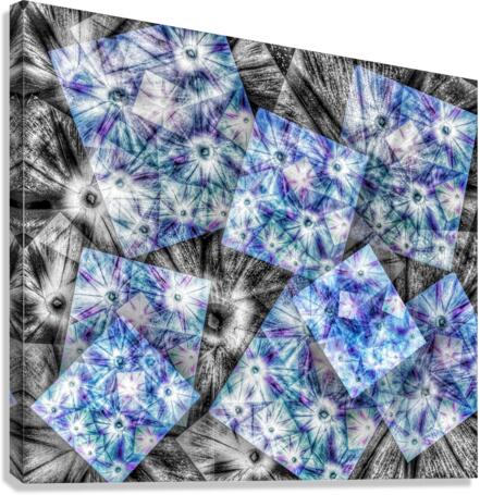 V613 Canvas Print