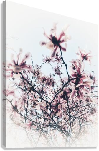V617 Canvas Print