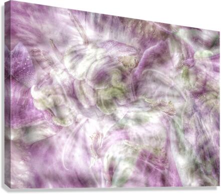 V634 Canvas Print