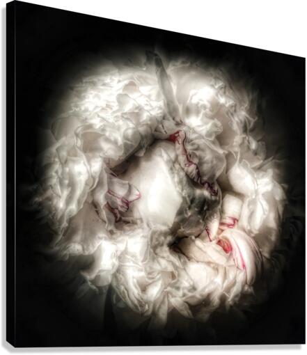 V636 Canvas Print