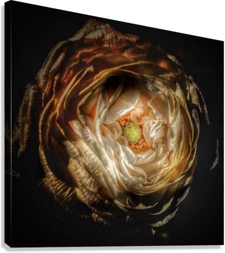 V642 Canvas Print