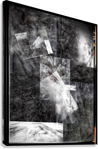 V647 Canvas Print