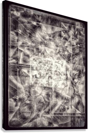 V648 Canvas Print