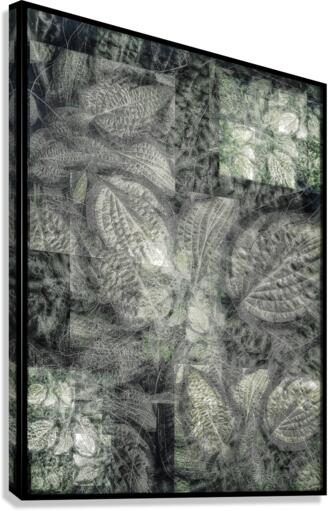 V650 Canvas Print