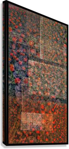 V652 Canvas Print