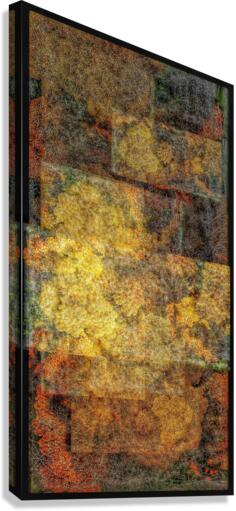 V657 Canvas Print