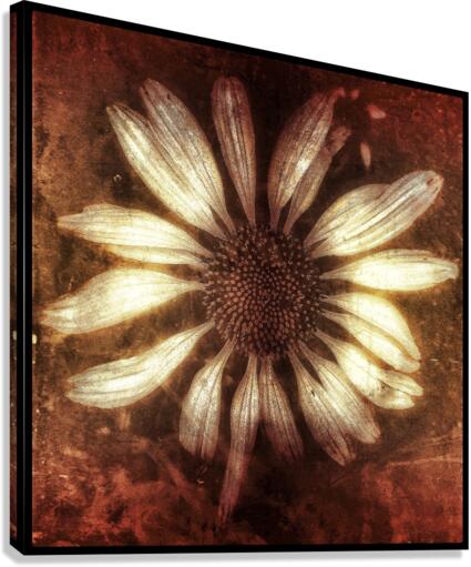 V659 Canvas Print