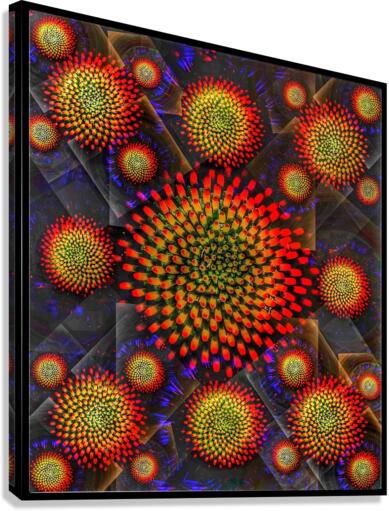 V662 Canvas Print