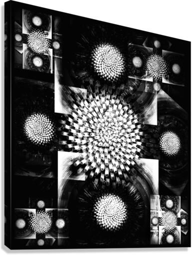 V663 Canvas Print