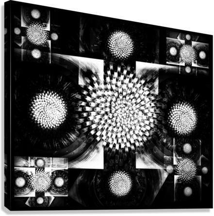 V664 Canvas Print
