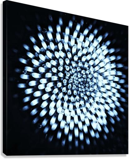 V665 Canvas Print
