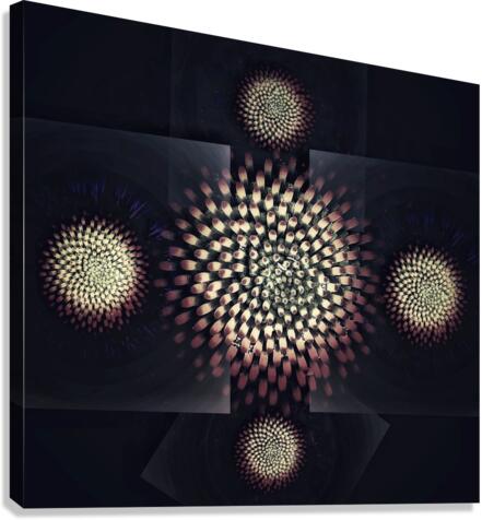 V667 Canvas Print